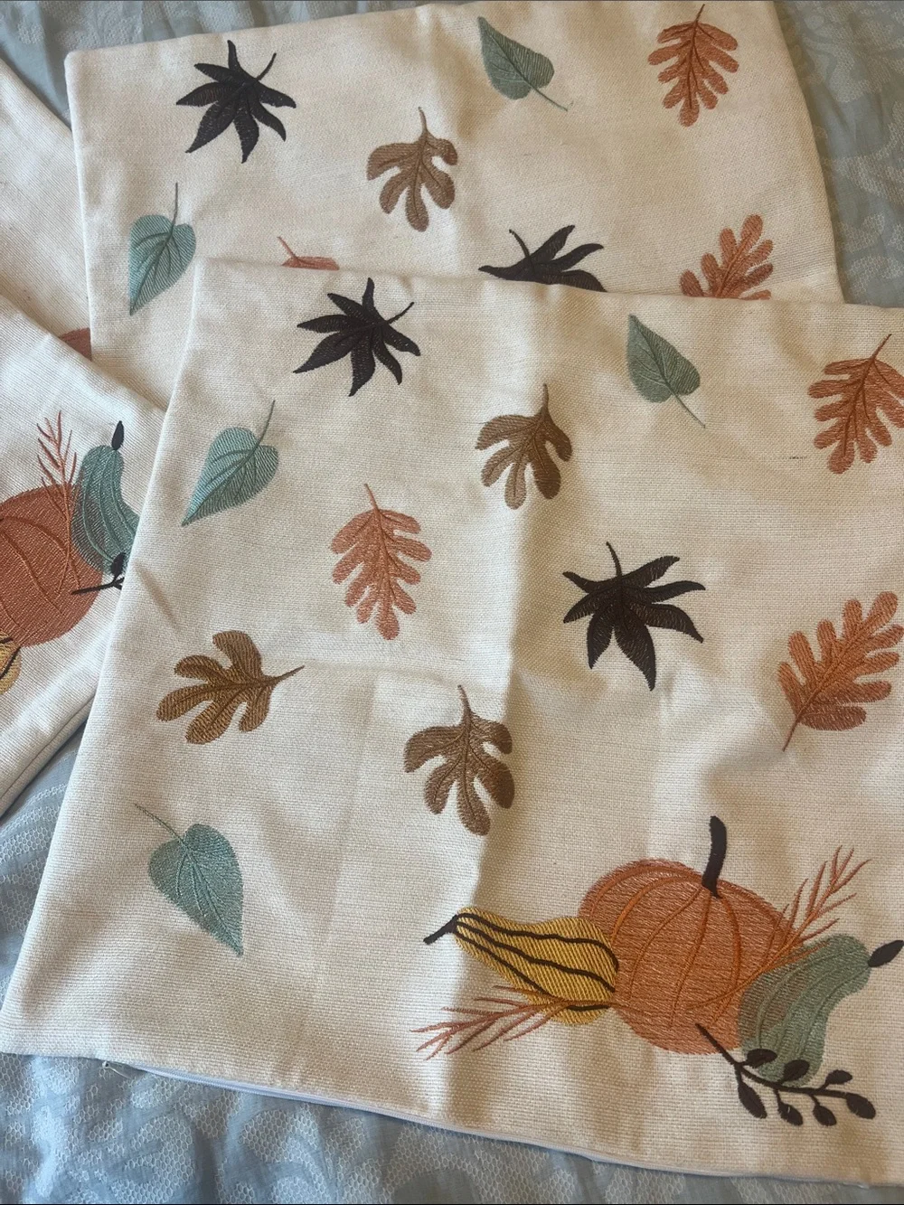 Autumn Harvest Pumpkin Embroidered Pillow Covers- Cream